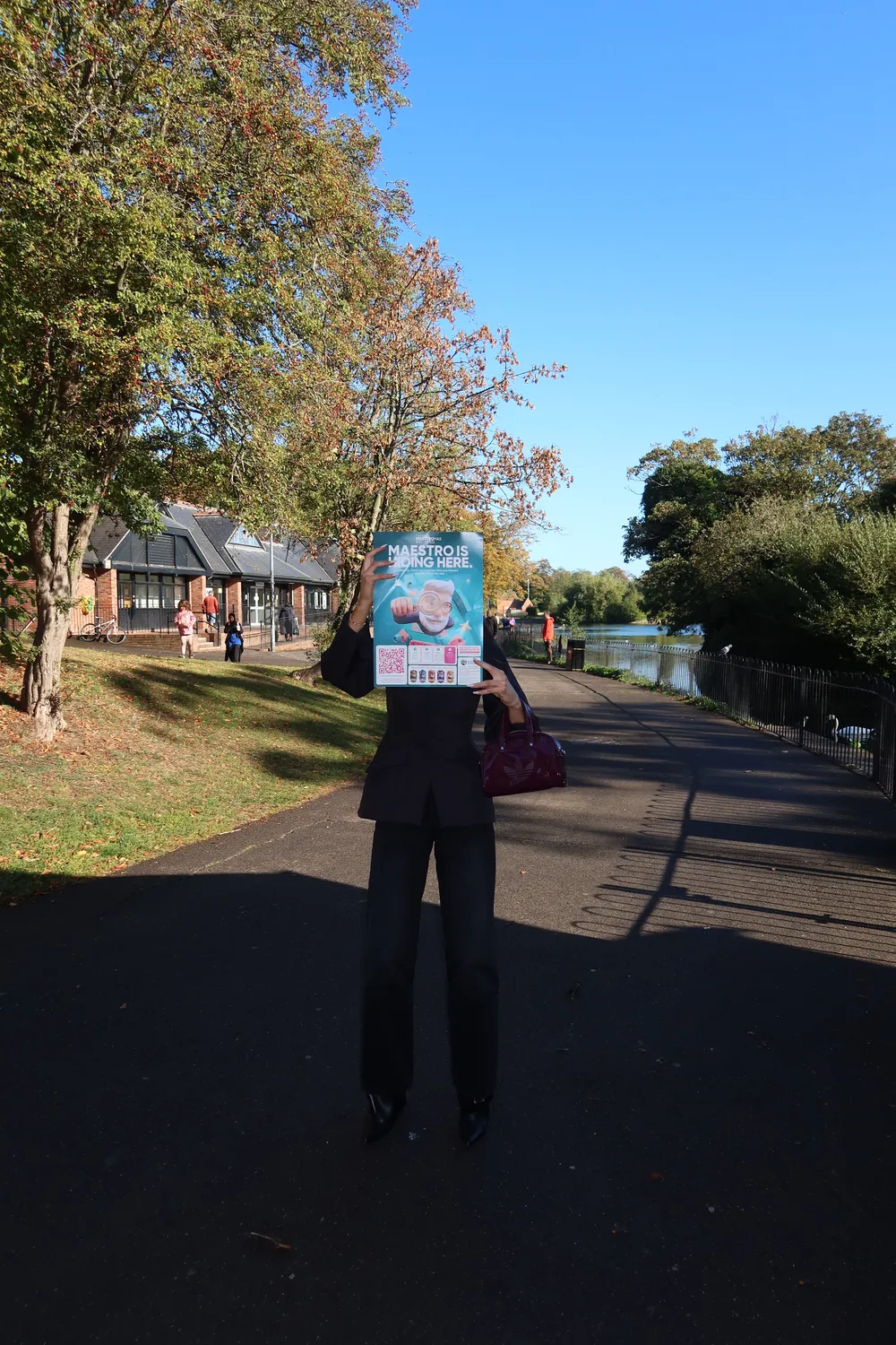 Find Maestro poster beside the lake at Albert Park in Middlesbrough